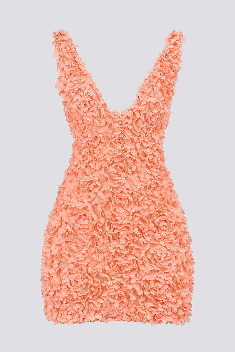 3D Floral Applique Plunge V-Neck Bodycon Mini Dress