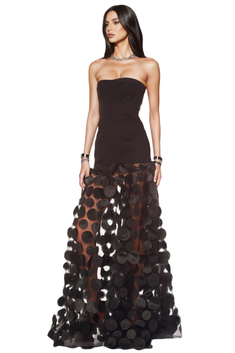 Eryxar Black Polka Dot Mesh Maxi Dress - View 2