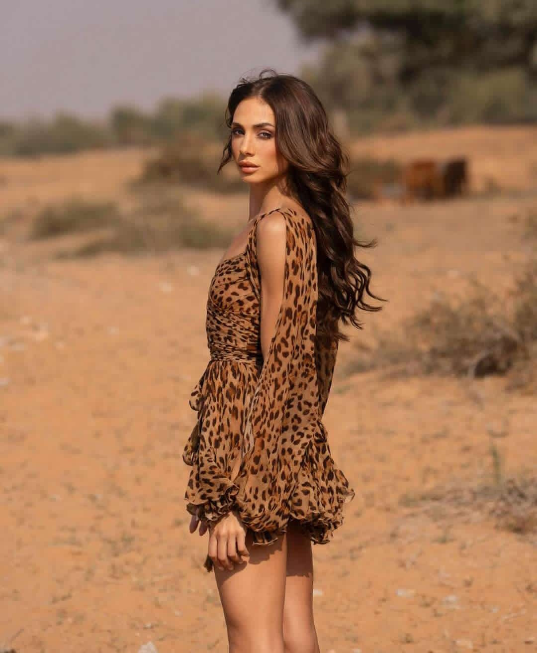 Chiffon Wrap V-Neck Split Balloon Sleeve Tie Waist Ruffle Mini Dress 34