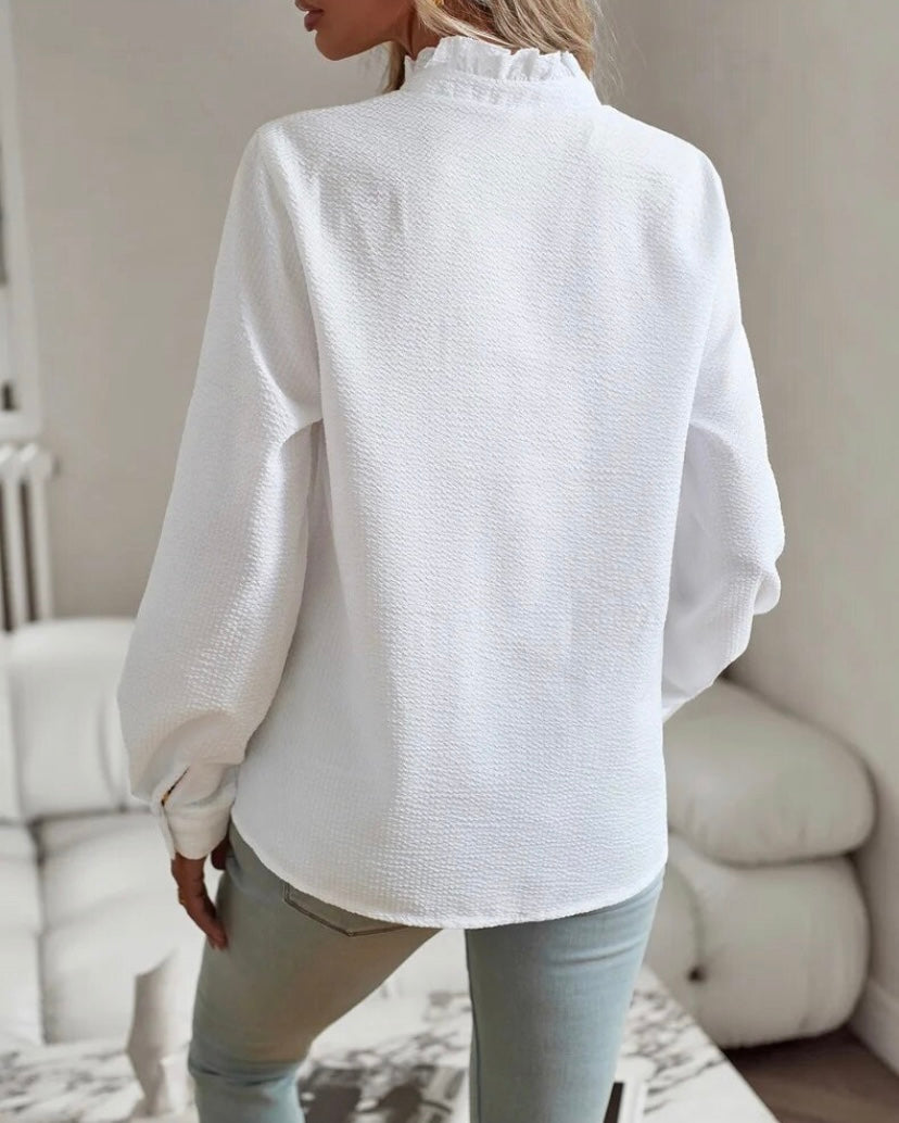 Ruffle Trim Stand Neck Long Sleeve Textured Blouse