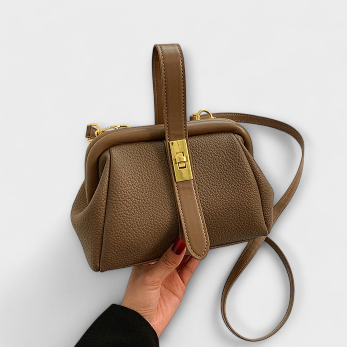Twist Lock Frame Crossbody Bag