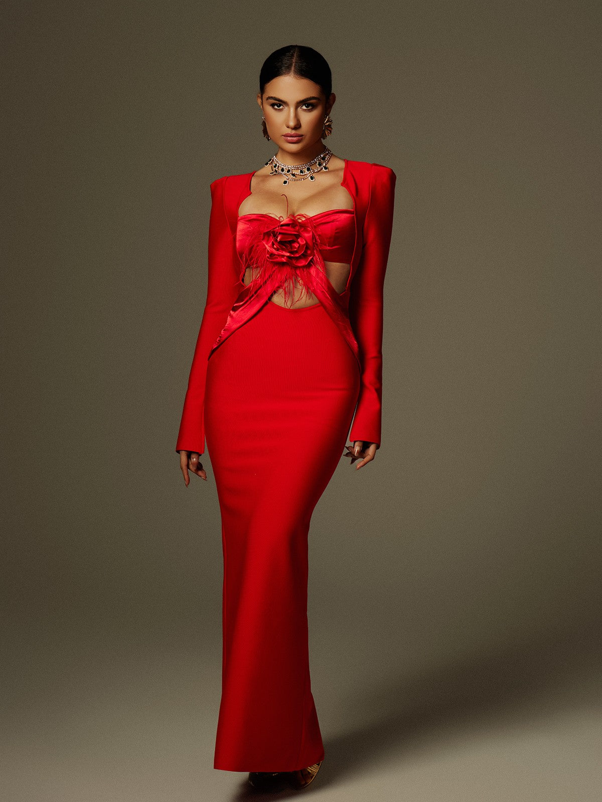 Rose Applique Feather Trim Cut Out Long Sleeve Mermaid Maxi Gown