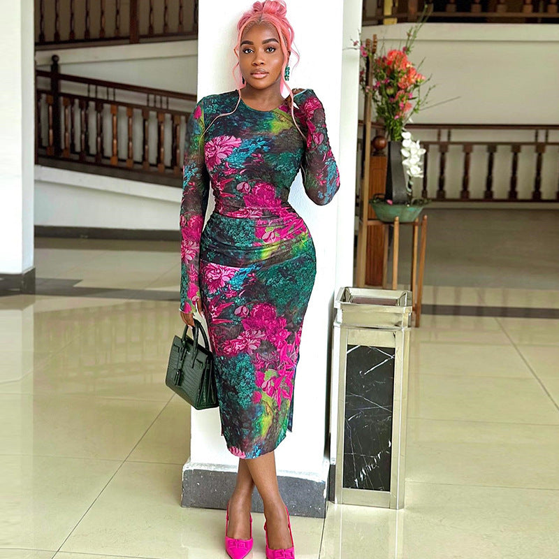 Floral Print Mesh Round Neck Long Sleeve Ruched Bodycon Midi Dress