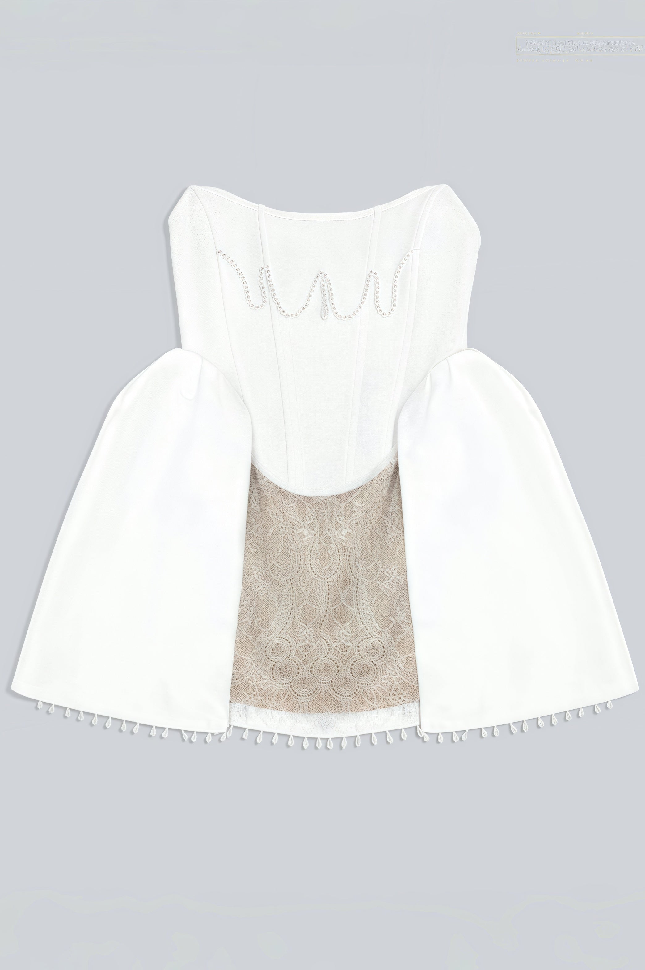 Hadrian Pearl Lace Mini Dress - View 3
