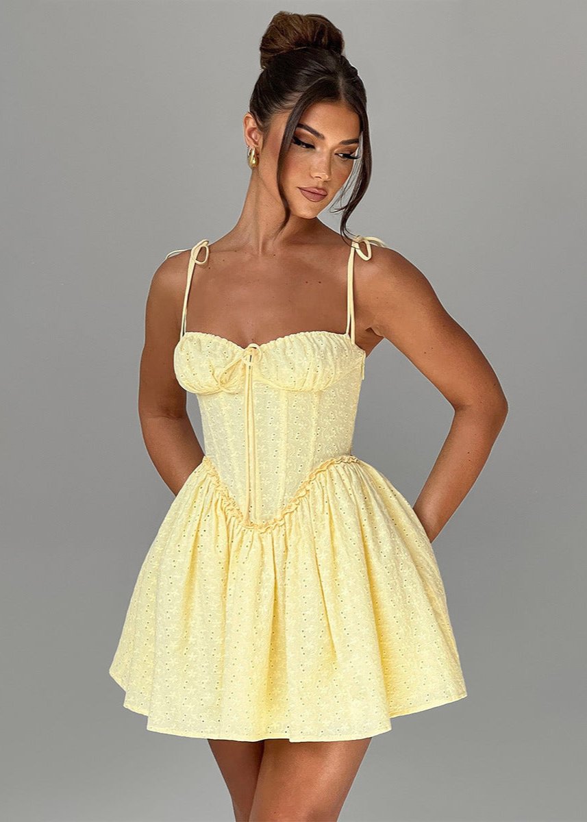 Eyelet Embroidered Tie Strap Corset Bodice Drop Waist Mini Dress