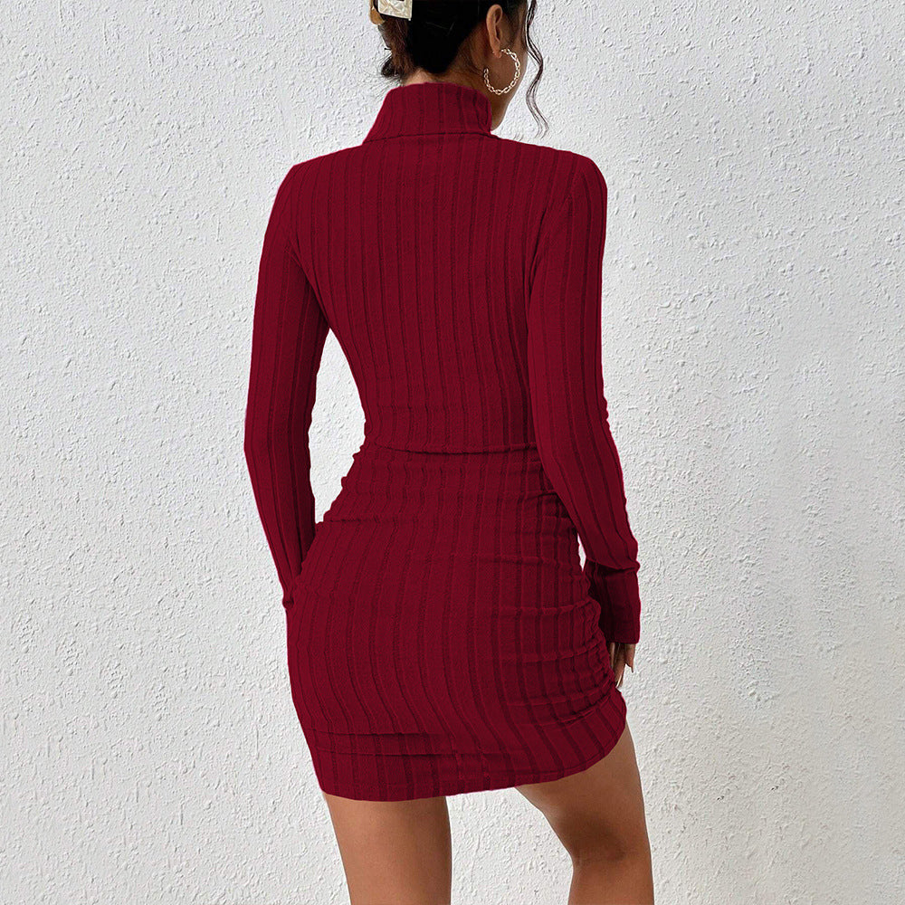 Turtleneck Long Sleeve Ribbed Knit Bodycon Mini Sweater Dress 2