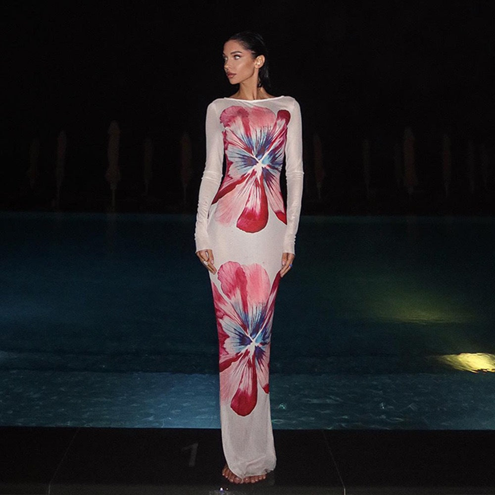Floral Print Sheer Mesh Round Neck Long Sleeve Bodycon Maxi Dress