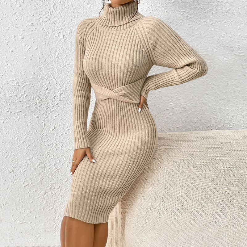 Turtleneck Bodycon Sweater Dress