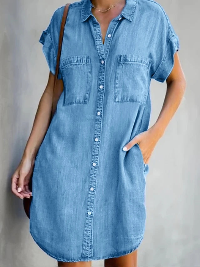 Ginnie Pintuck Button Down Shirt Dress
