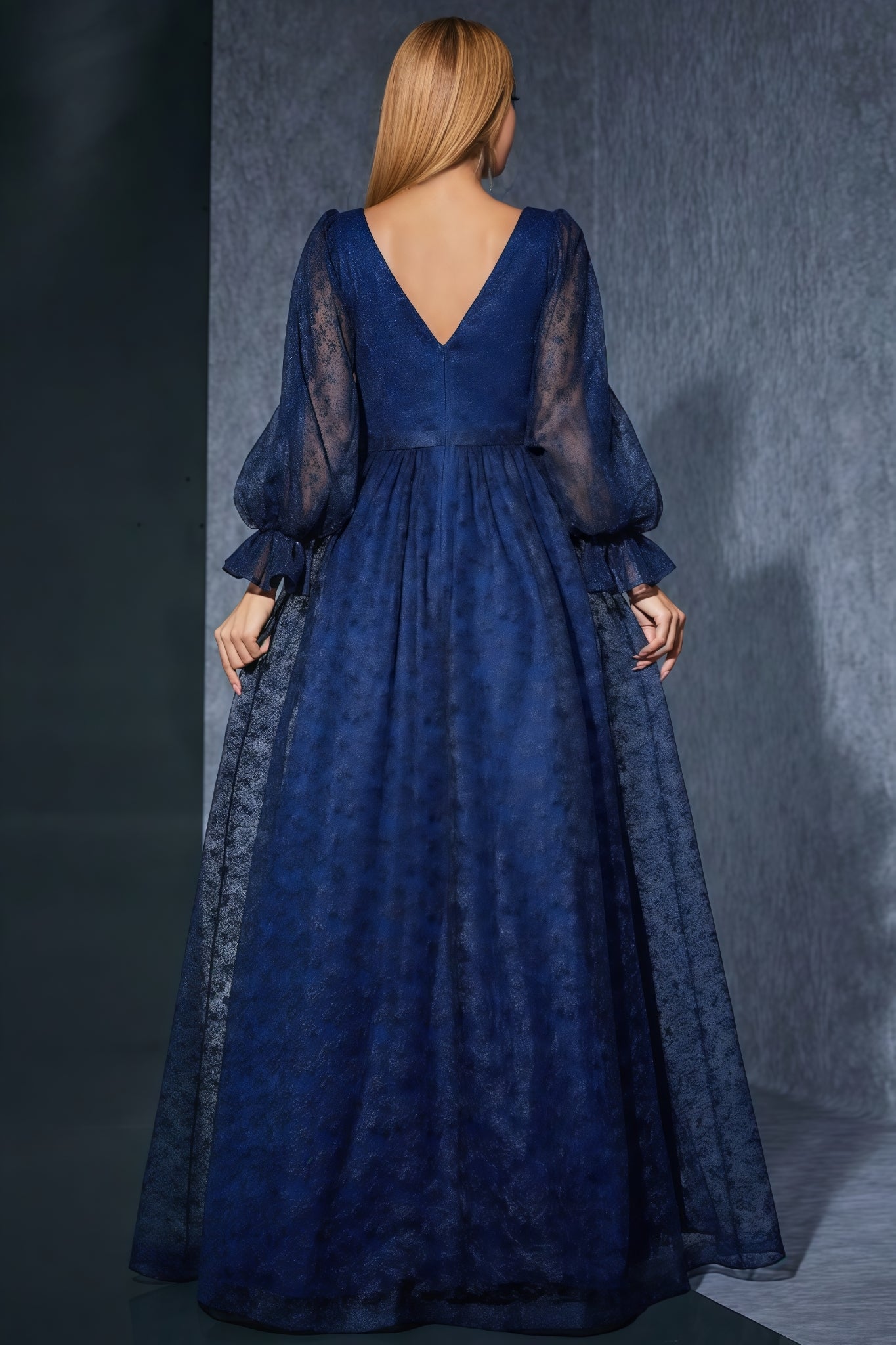 Crana Blue Embroidered Mesh Maxi Dress - View 5