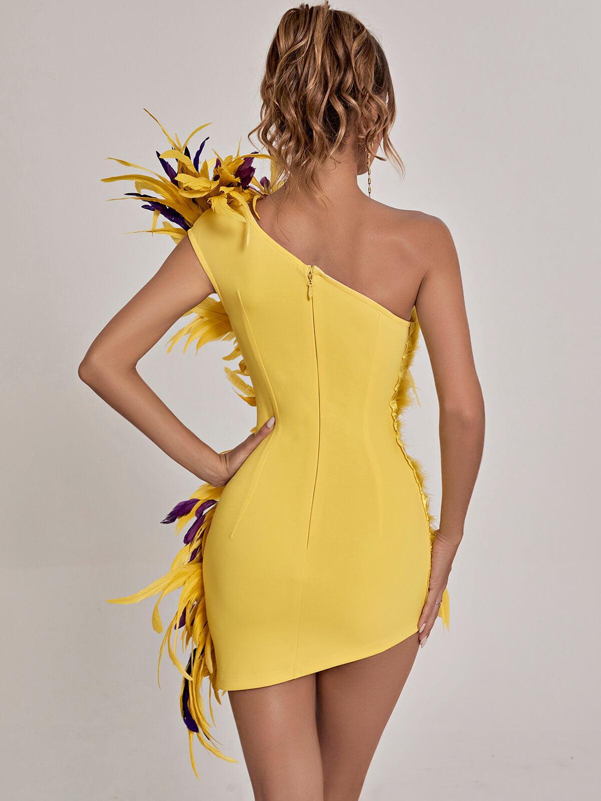 Paislee Asymmetric Feather Mini Dress - View 5