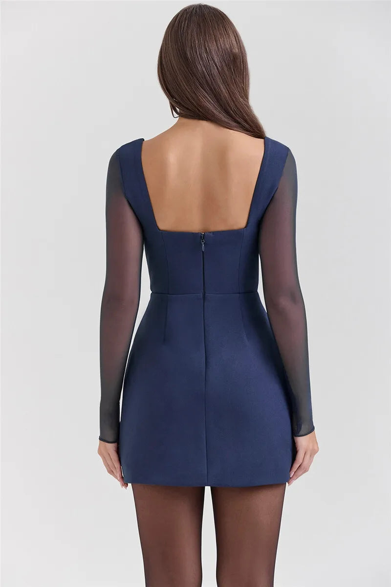 Plunge Neck Mesh Long Sleeve Corset Bodycon Mini Dress