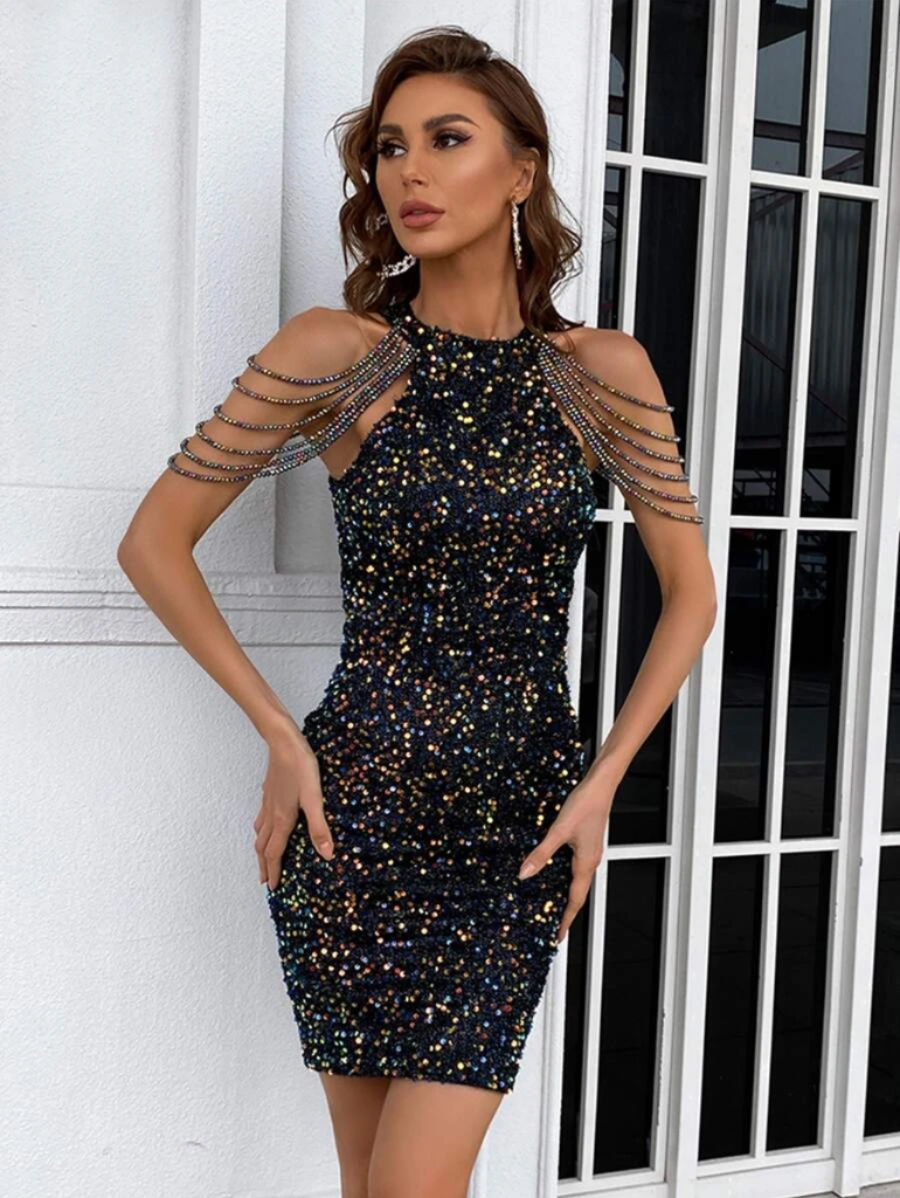 Bodycon Sequin Dress