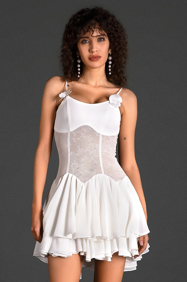 Sheer Mesh Mini Dress