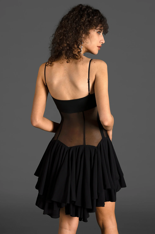 Sheer Mesh Mini Dress