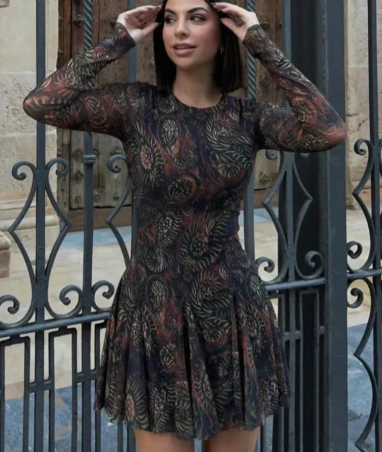 Paisley Print Mesh Crew Neck Long Sleeve Pleated Mini Dress