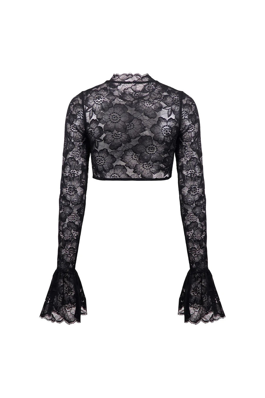 Lace Sheer Mesh Crop Top