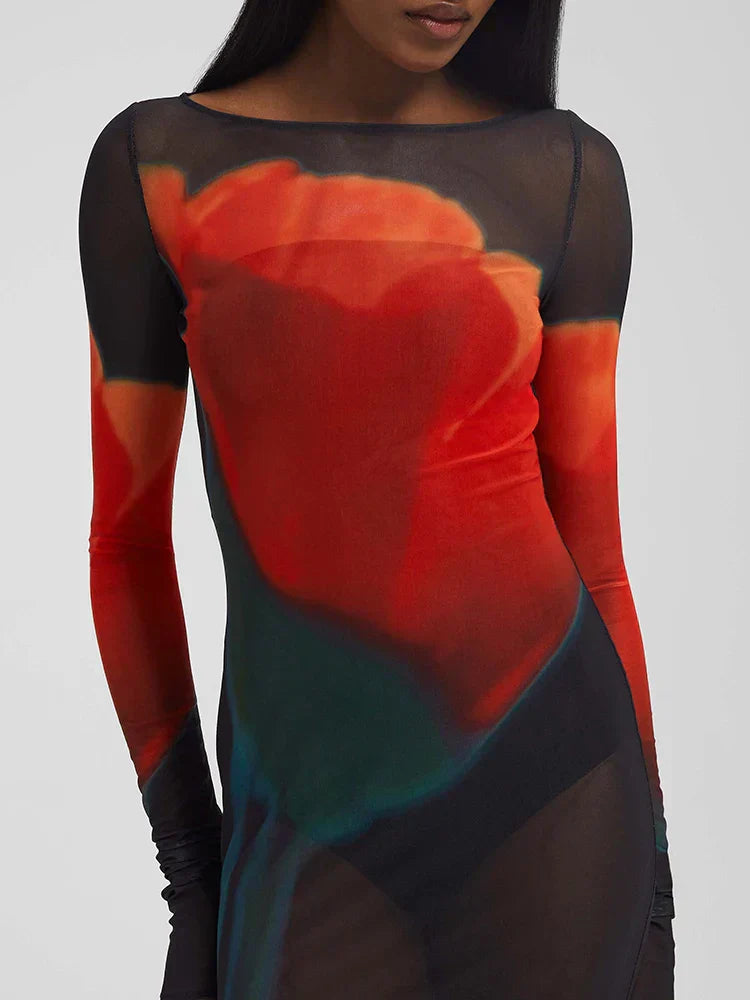 Mesh Sheer Long Sleeve Printed Dress - View 6