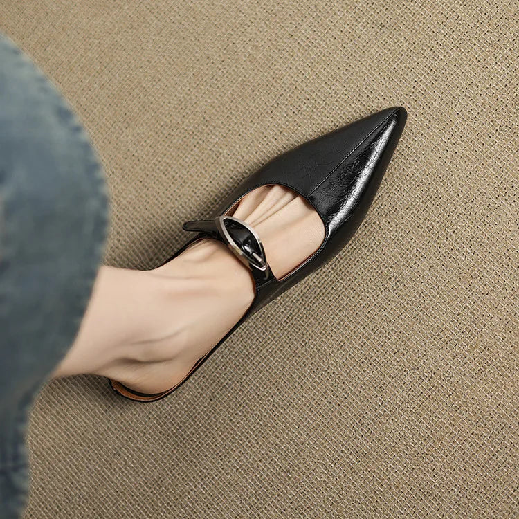 Pointed Toe Buckle Strap Low Heel Mary Jane Pumps