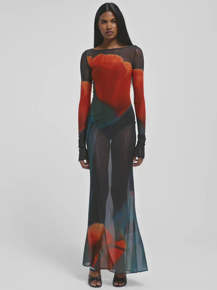 Mesh Sheer Long Sleeve Printed Dress - View 5