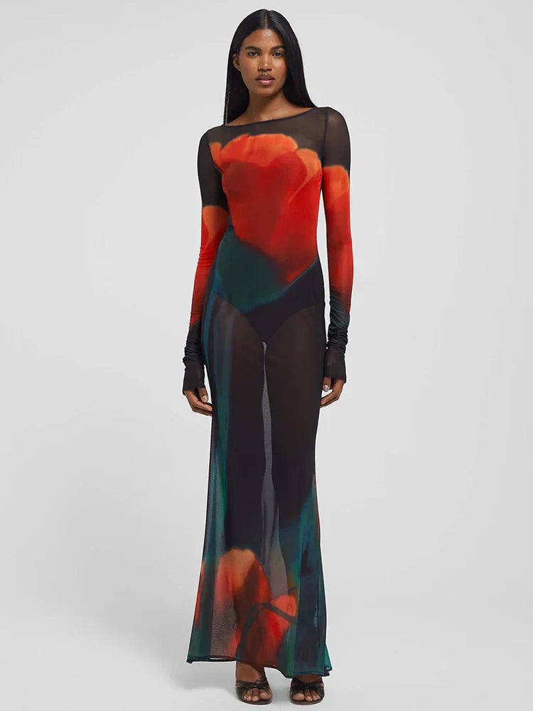 Mesh Sheer Long Sleeve Printed Dress - View 2