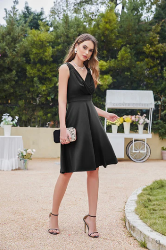 Surplice V-Neck Draped Bodice Sleeveless Fit and Flare Knee Length Cocktail Dress