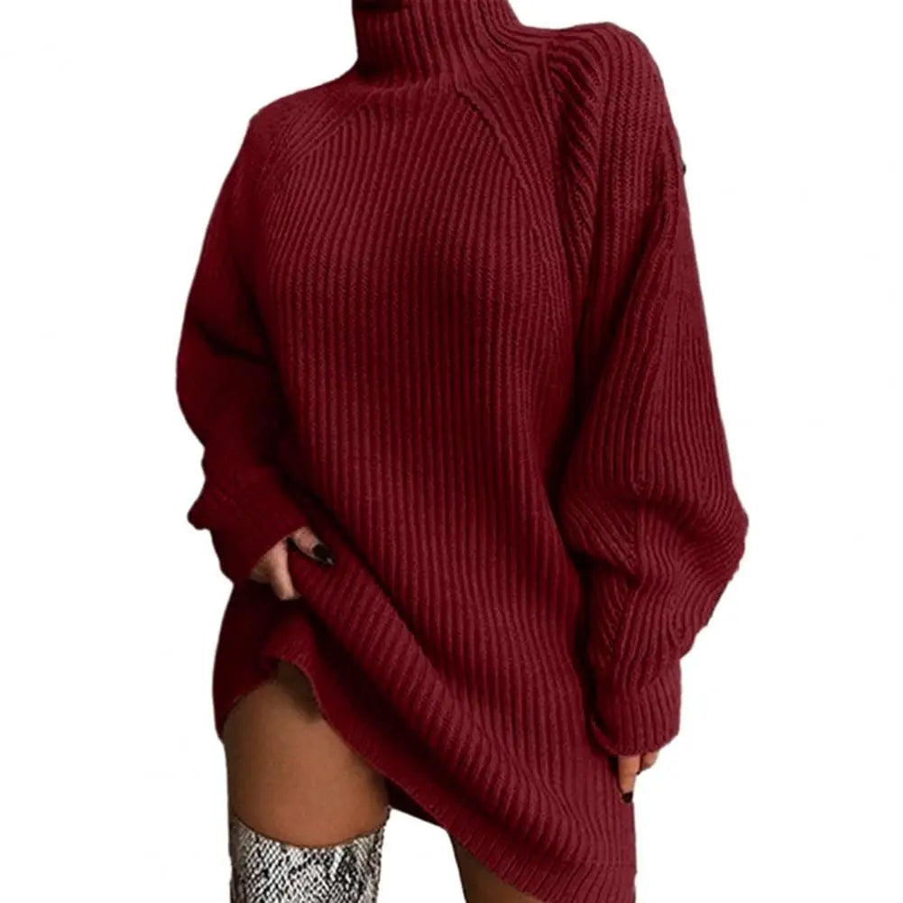 Turtleneck Long Sleeve Ribbed Sweater Dress