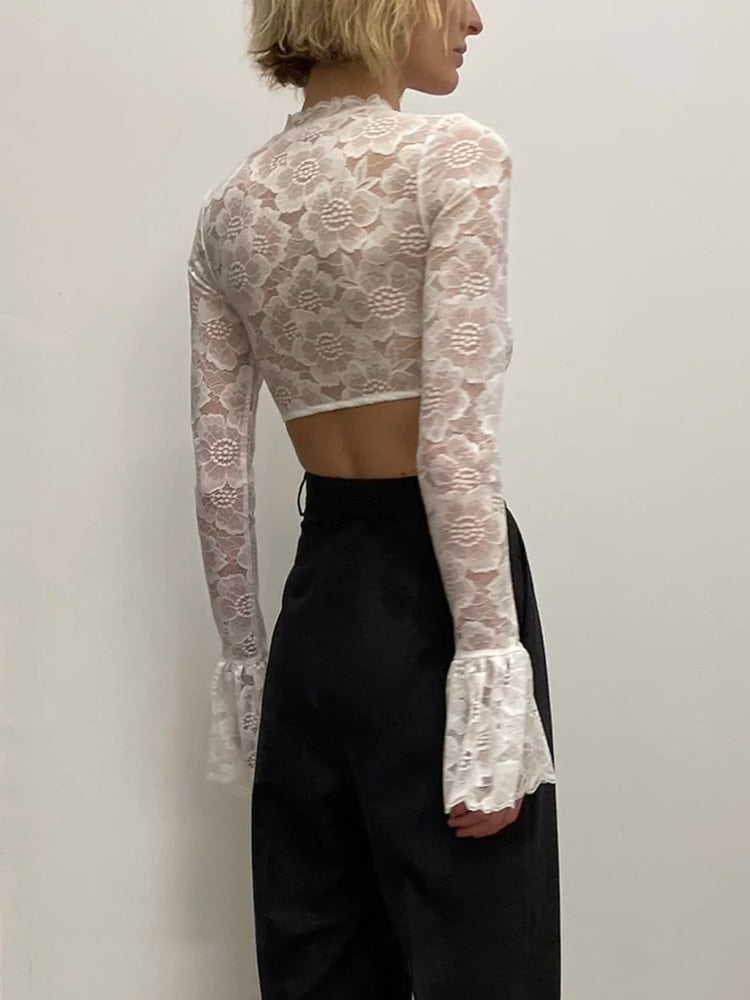 Lace Sheer Mesh Crop Top