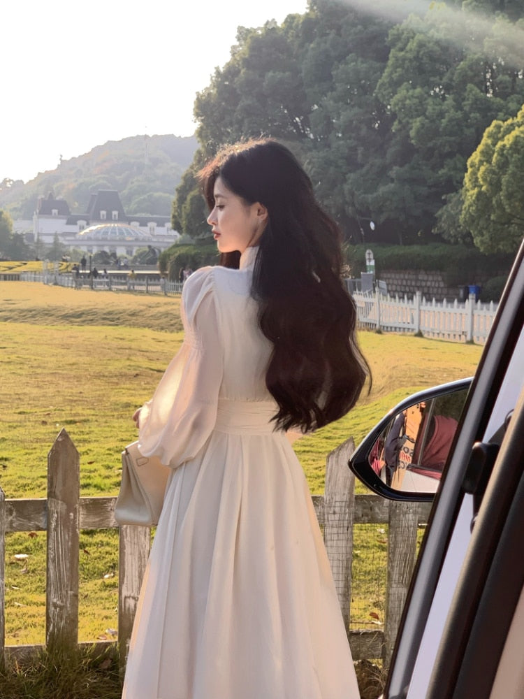 A Cute Story Behind Midi Dress