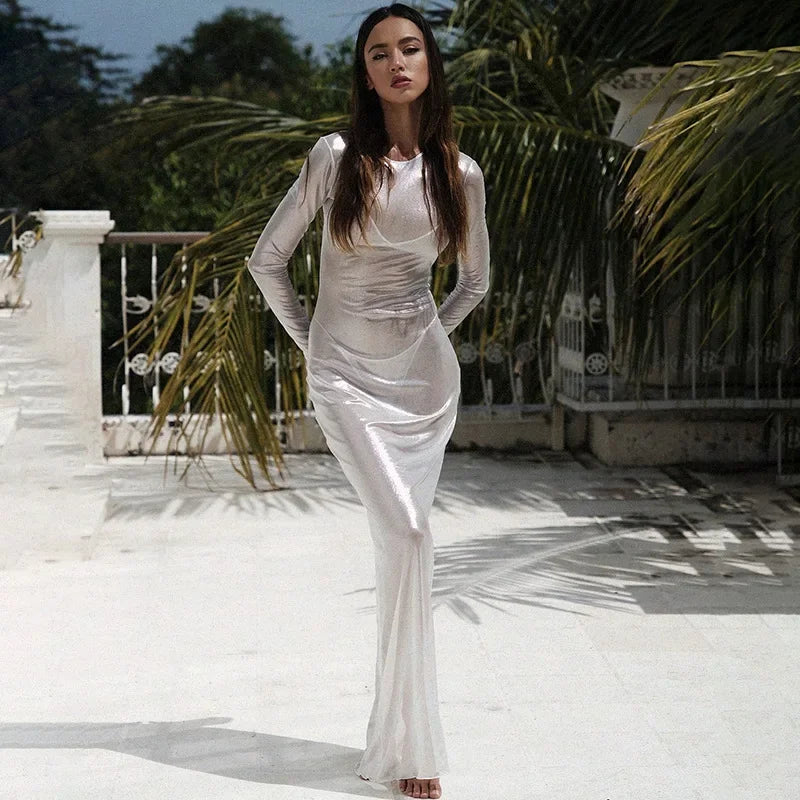 Mesh Long Sleeve Crew Neck Bodycon Maxi Dress