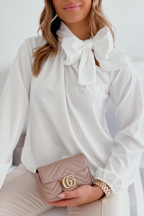 Tie Neck Long Sleeve Blouse