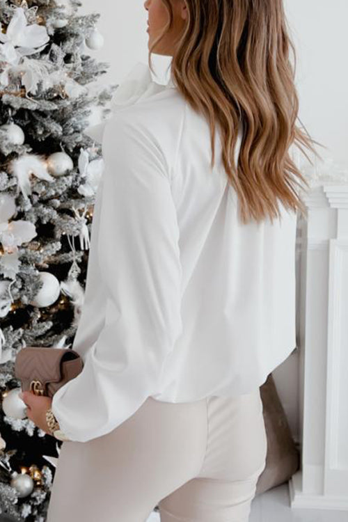 Tie Neck Long Sleeve Blouse
