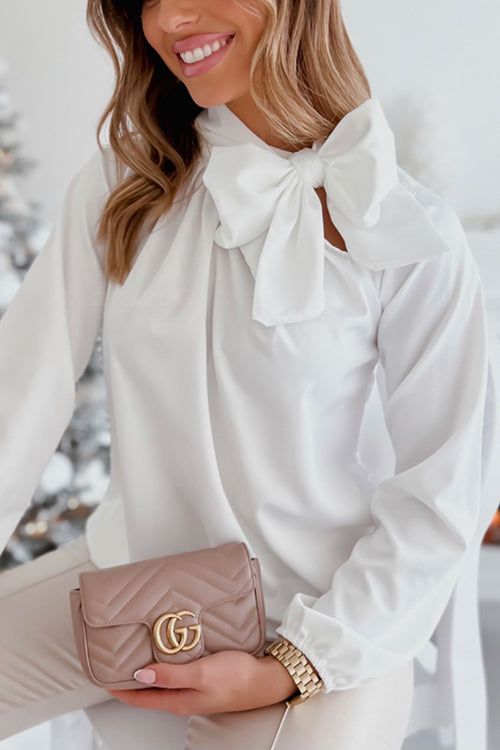 Tie Neck Long Sleeve Blouse