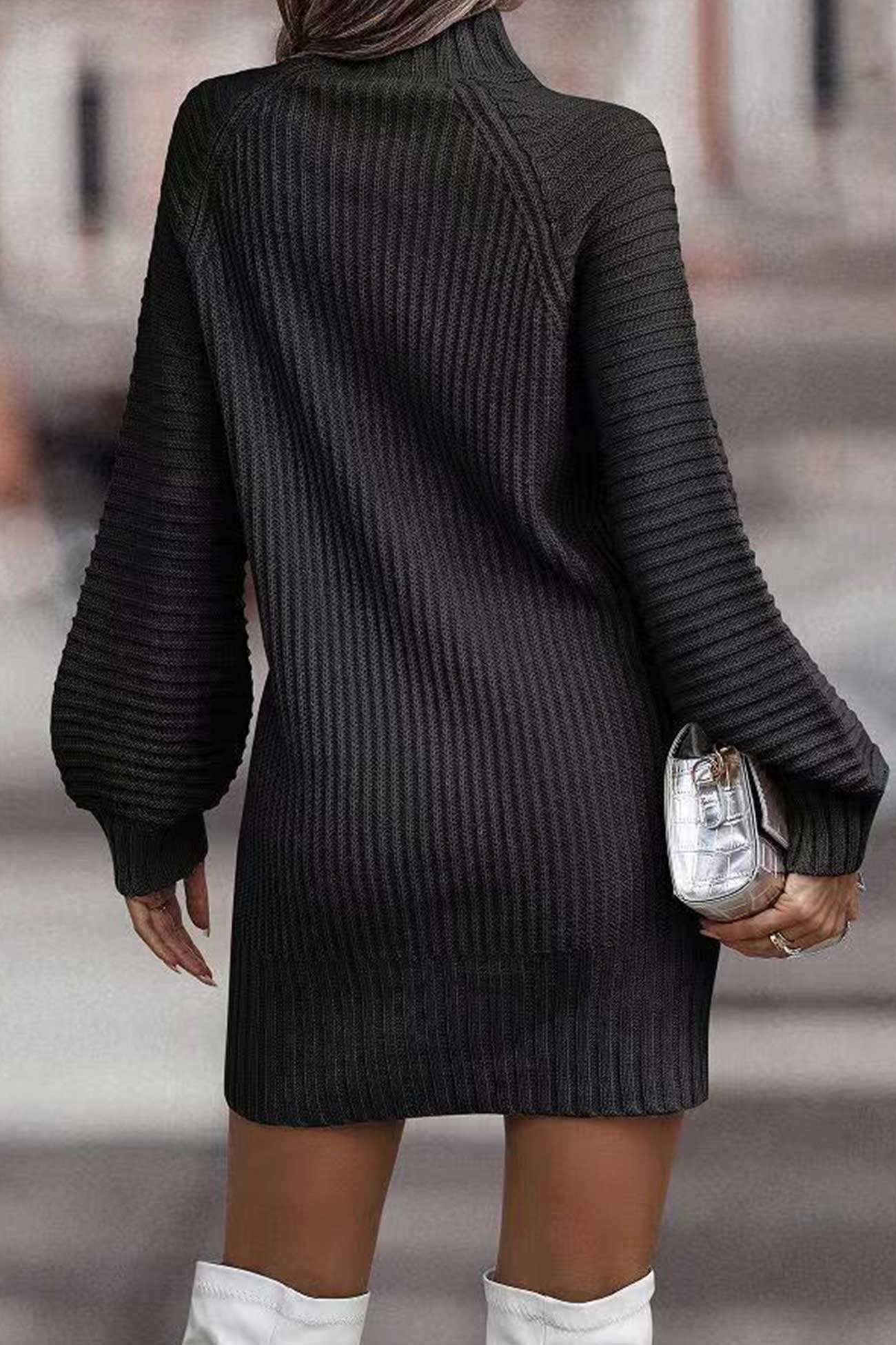 Relaxed Larisa Solid Color Turtleneck Dress for Modern Fashion Wear