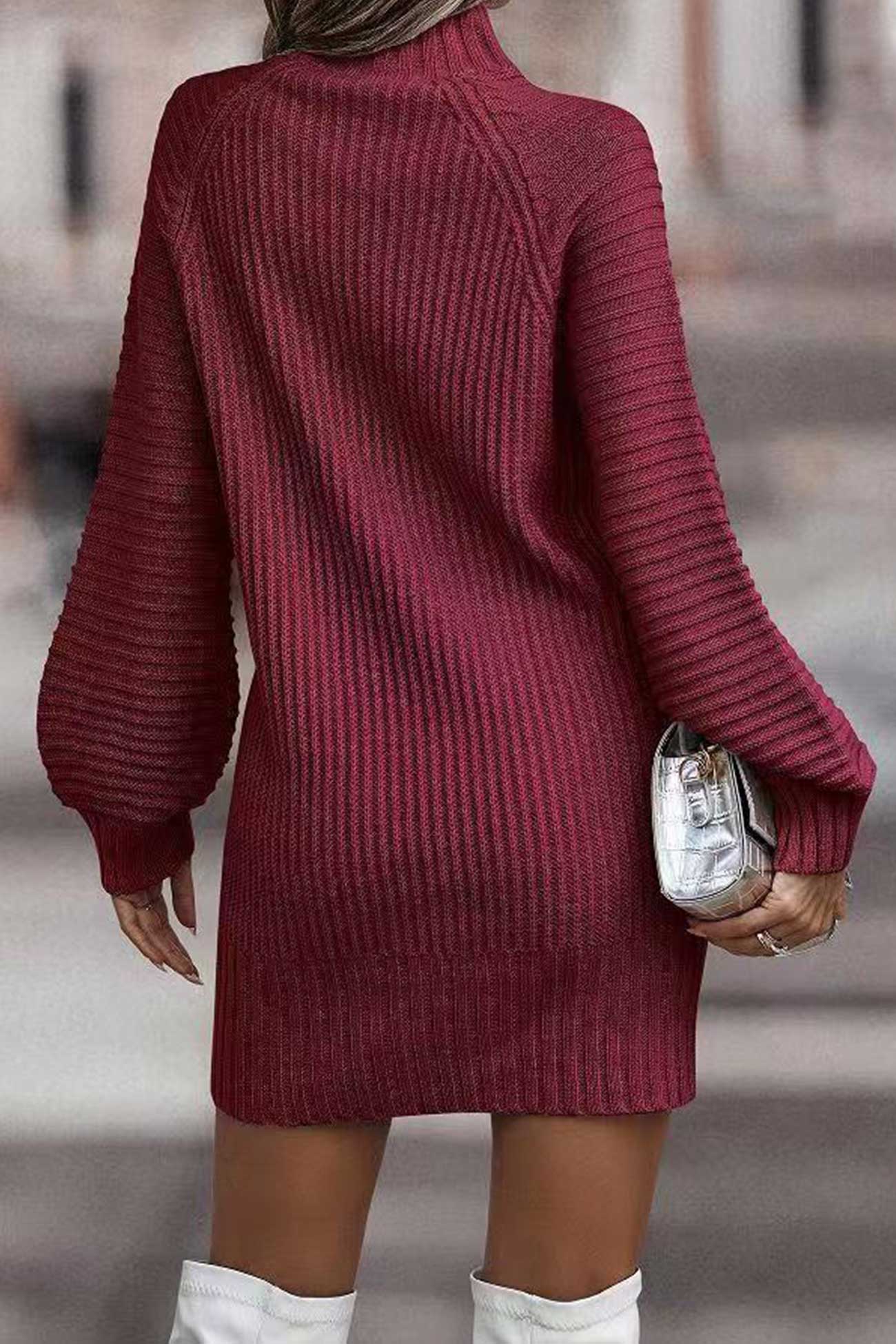 Relaxed Larisa Solid Color Turtleneck Dress for Modern Fashion Wear