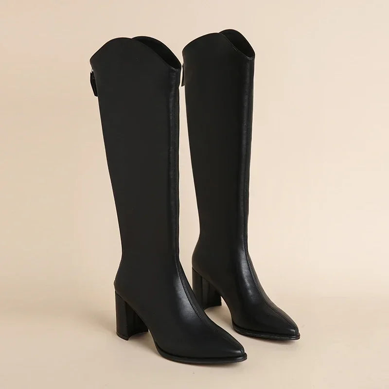 Pointed Toe Block Heel Knee High Boots