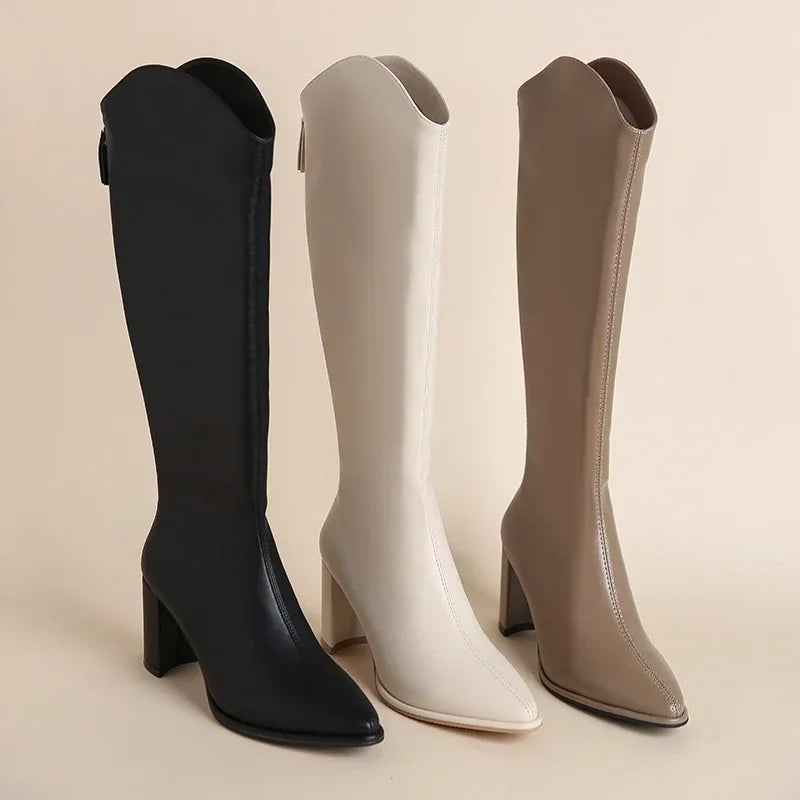 Pointed Toe Block Heel Knee High Boots