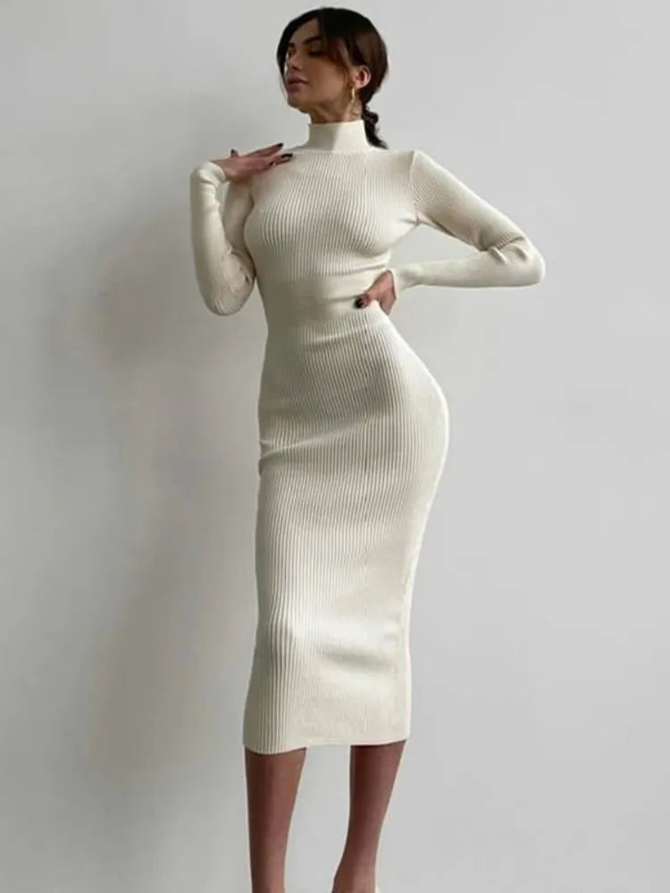 Ribbed Knit Turtleneck Long Sleeve Bodycon Maxi Dress