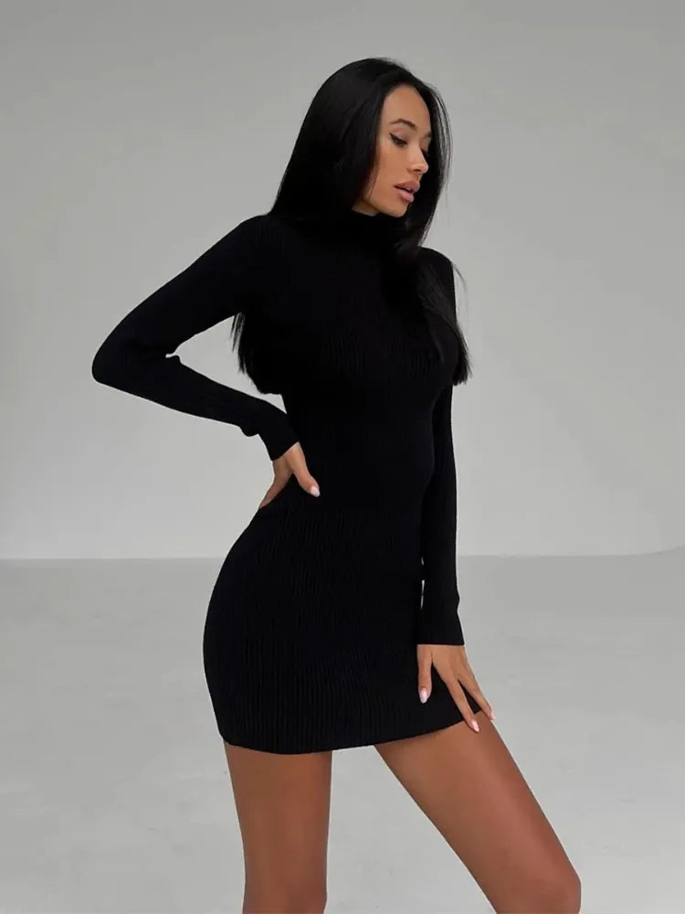 Ribbed Knit Turtleneck Long Sleeve Bodycon Maxi Dress