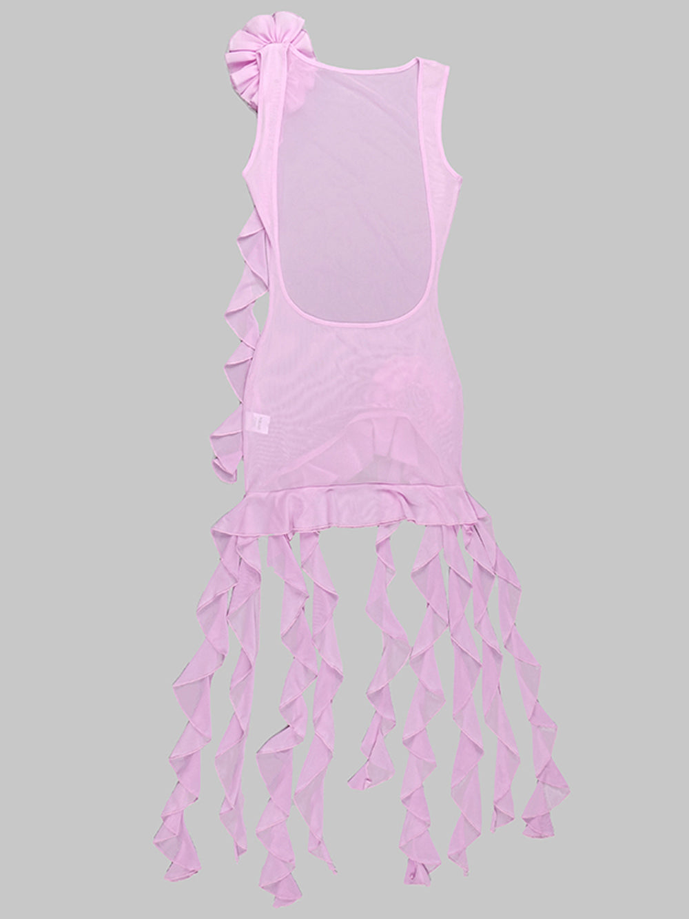SIA Mesh Mini Dress 6