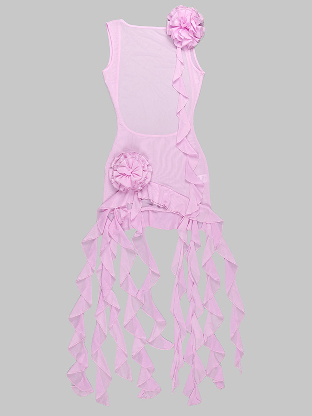 SIA Mesh Mini Dress 5