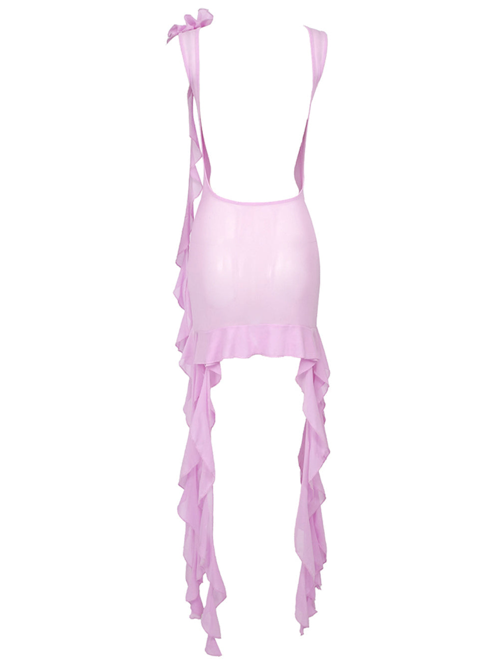 SIA Mesh Mini Dress 2