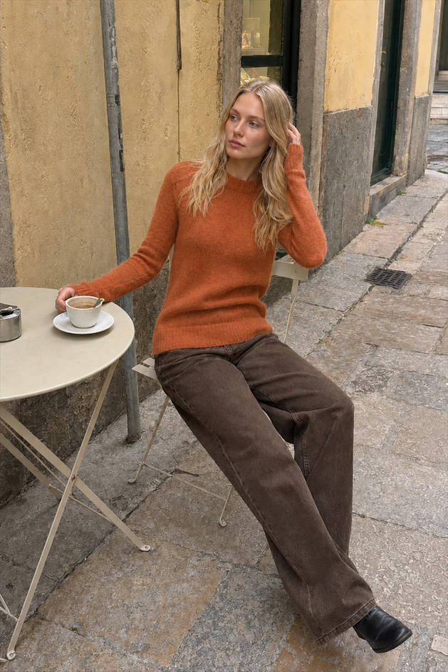 Sheer Blend Round Neck Knit Top