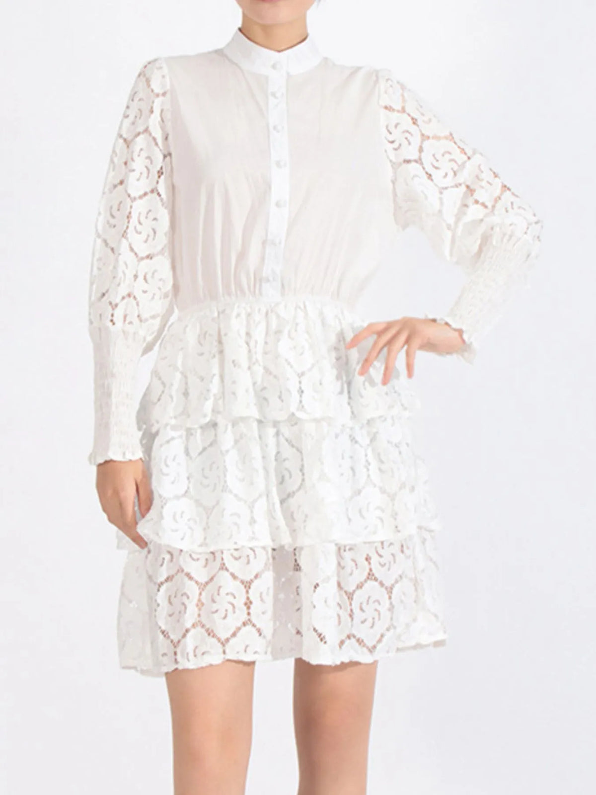 Full Size Lace Layered Long Sleeve Dress Plus Size