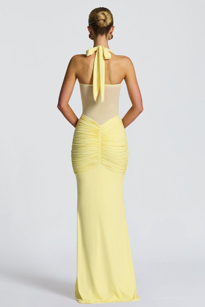 Sheer Mesh Maxi Dress
