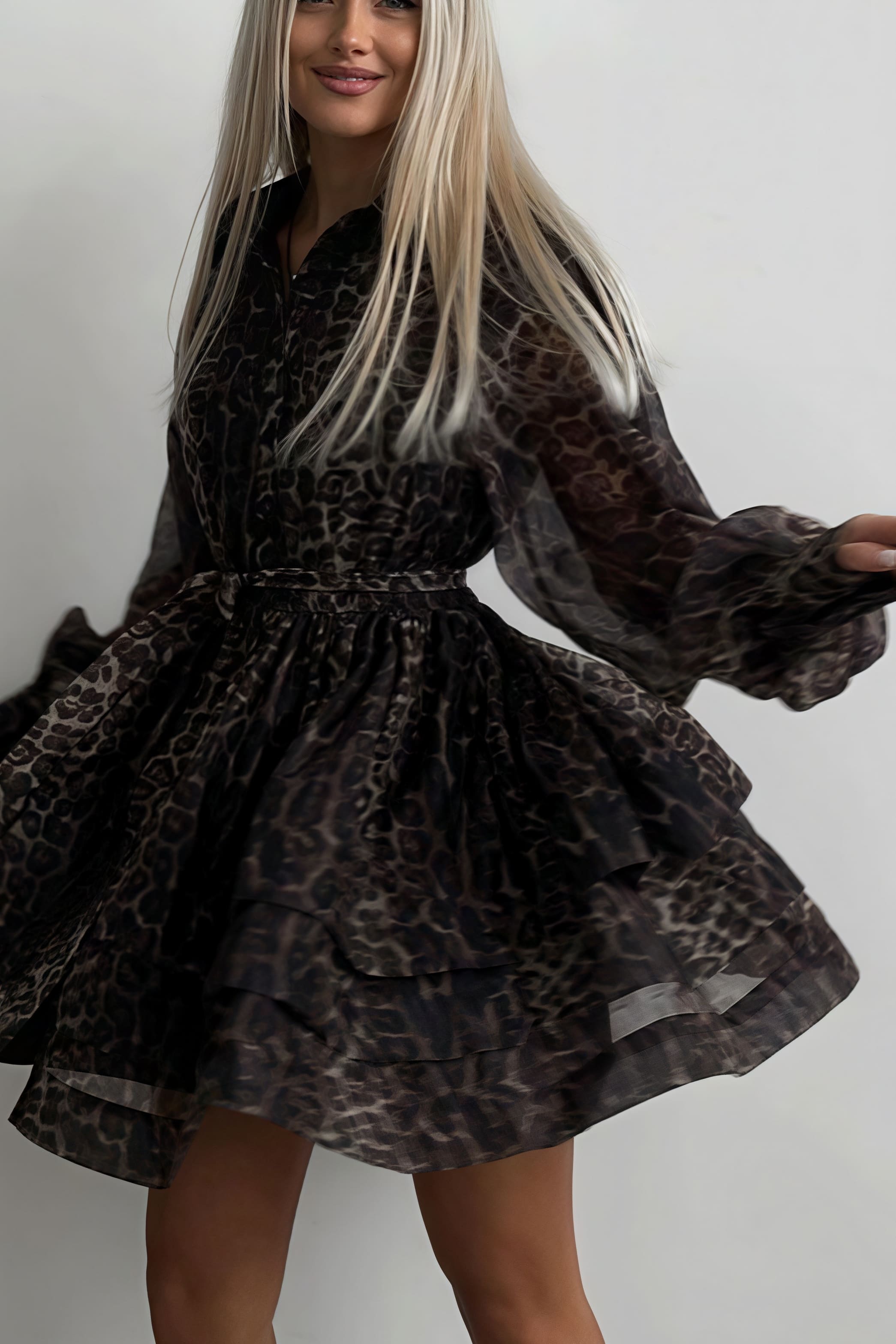 Chiffon Leopard Print Long Sleeve Mini Dress - View 2