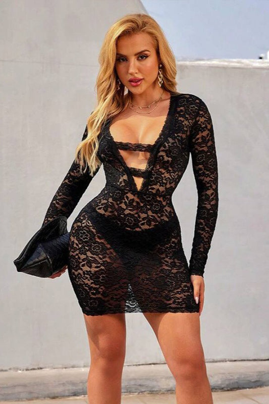 Lace Trim Sheer Long Sleeve Fit Mini Lace Dress