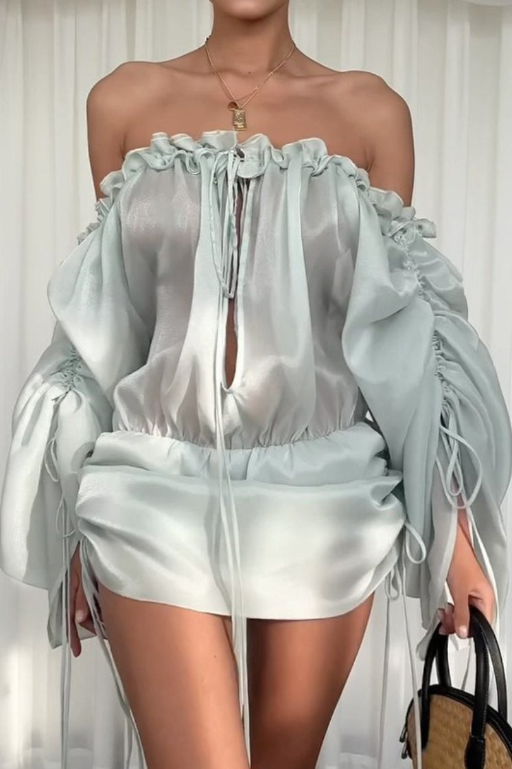 Off Shoulder Mesh Long Sleeve Top