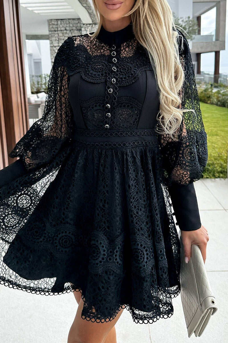 Lace Button Front High Neck Bishop Sleeve Fit and Flare Mini Dress