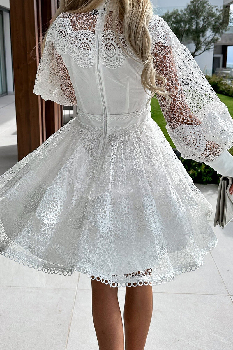 Lace Button Front High Neck Bishop Sleeve Fit and Flare Mini Dress